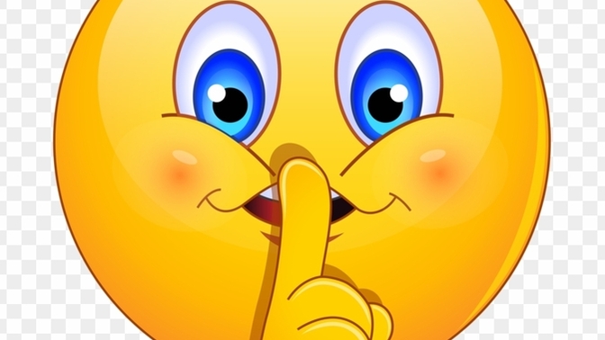 What is a dirty little secret about your job that you have never told anyone IRL?