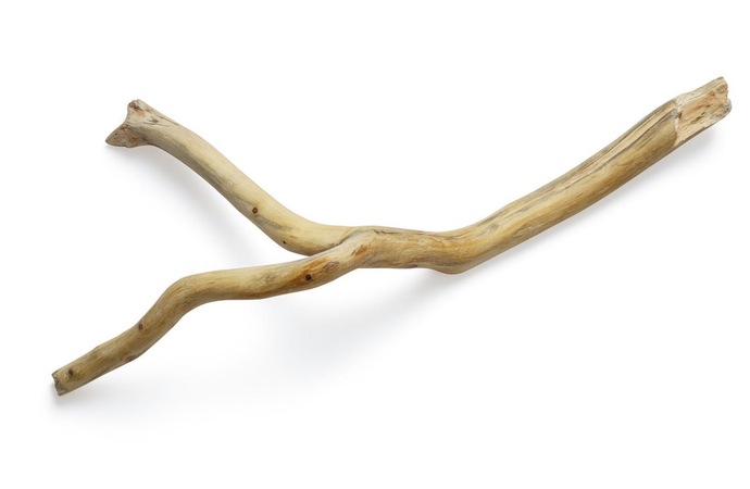 You Are On An Adventurous Journey In The Woods & You See A Few Sticks, Which One Of The Following Would You Pick Up?