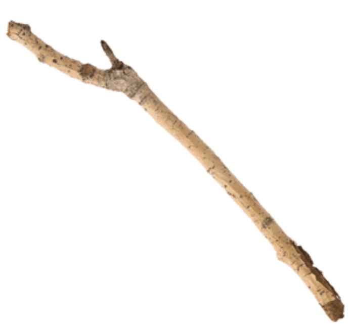 You Are On An Adventurous Journey In The Woods & You See A Few Sticks, Which One Of The Following Would You Pick Up?