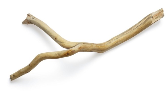 You Are On An Adventurous Journey In The Woods & You See A Few Sticks, Which One Of The Following Would You Pick Up?