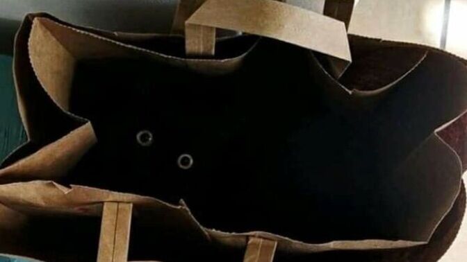 How do you react when you stare into the abyss and the abyss stares back?
