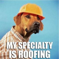 Who normally fixes things in your home?