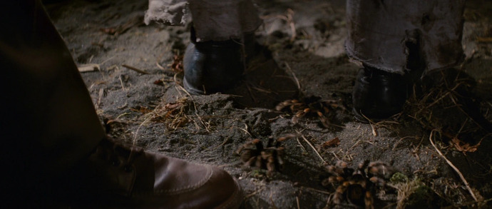 If you were Indiana Jones exploring an underground tomb for treasures which pit of creatures would you least like to encounter?