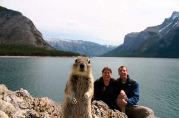 Have you ever been photobombed by a friend or your pet on purpose?