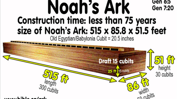 I'm building a second ark, just in case, but it probably won't be quite as big as the one Noah built. What animals can we do without?