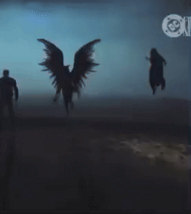 Would you rather own a pair of wings or a flying broom?