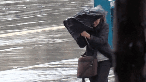 What’s the very first thing you do when it starts raining?