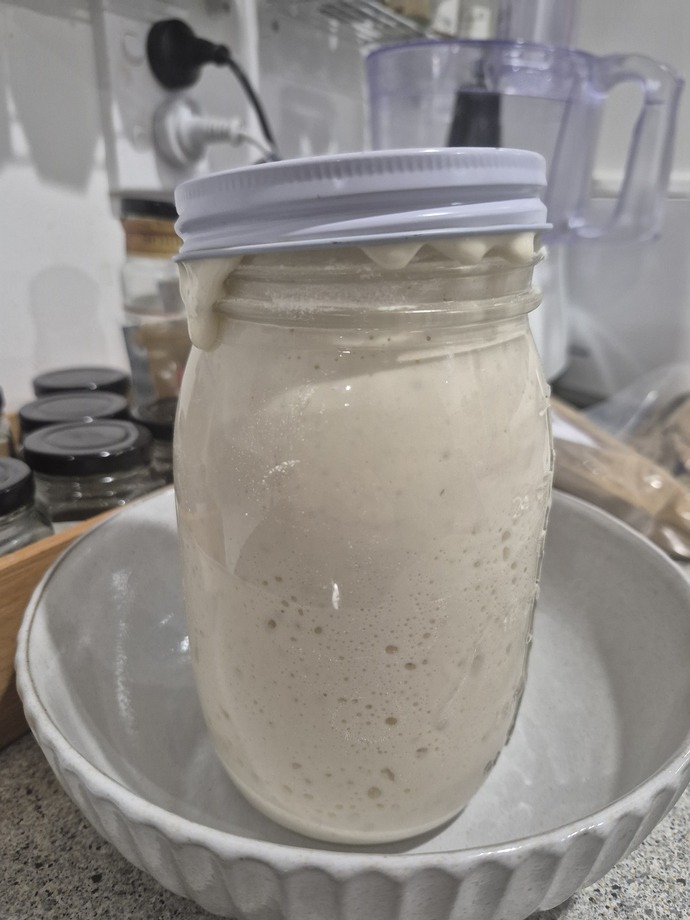 Ever made a sourdough starter?