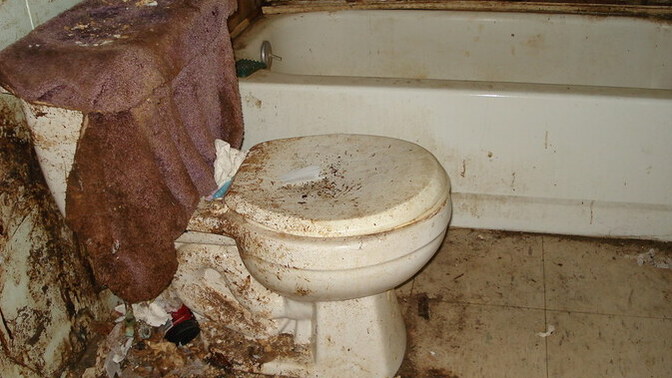 Would you ever work as a plumber?