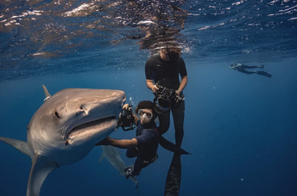 If you had to confront and overcome your fear of an animal in the wild, which animal would it be?