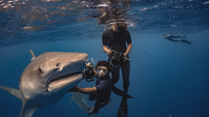 If you had to confront and overcome your fear of an animal in the wild, which animal would it be?