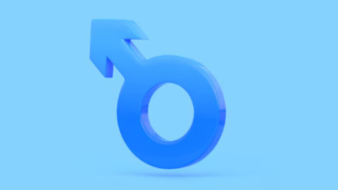 What is it like to be a guy?