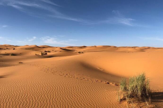Do you think deserts are pretty?