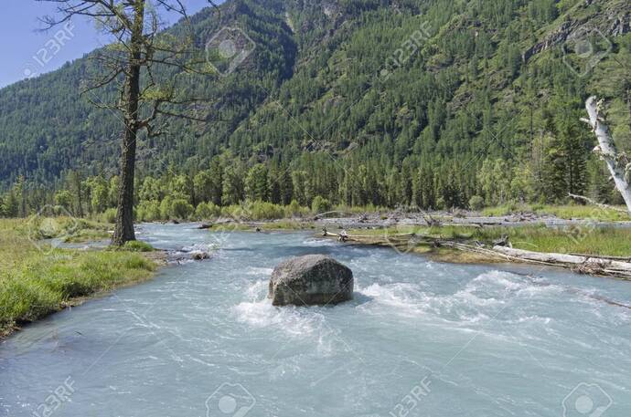 You see this rock in the middle of the river? That’s me going with the flow