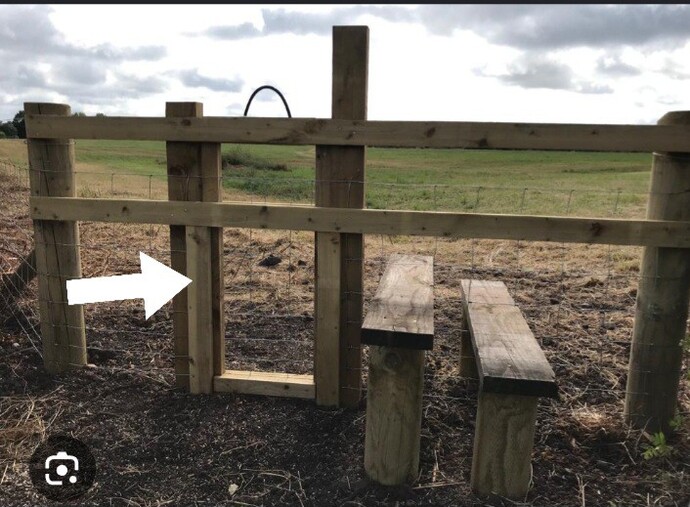 Whats this this thingy?