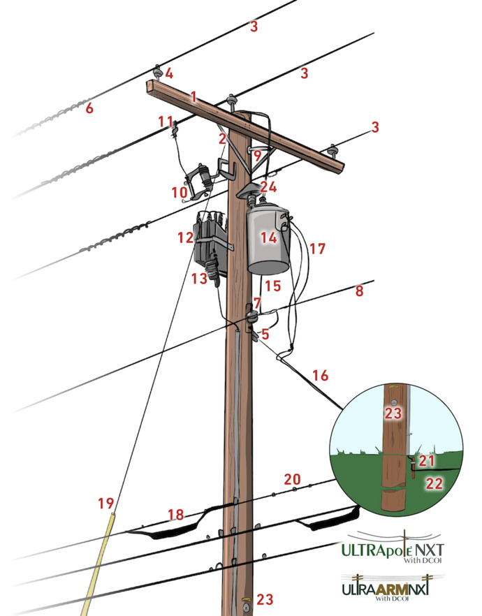 POLE