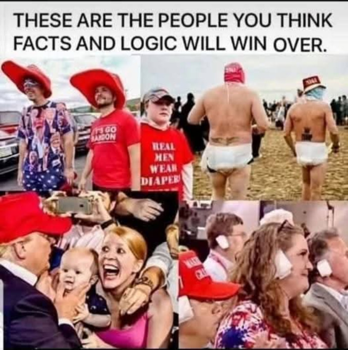 Do you think that facts and logic are important in politics?