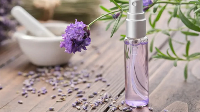 Girls, if you dated a guy who’s place smelled like lavender or other feminine scents would you be turned off?