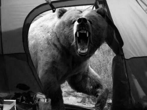 Camping in a tent at night: what do you do if you see this?