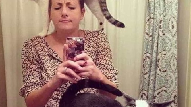 What does your pet do at night that keeps you from sleeping?