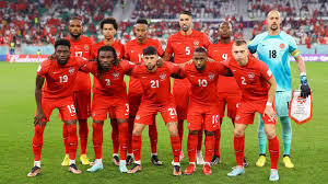 Is anyone else planning to watch the FIFA World Cup this year?