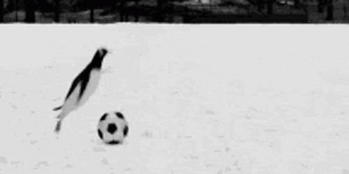 Is anyone else planning to watch the FIFA World Cup this year?