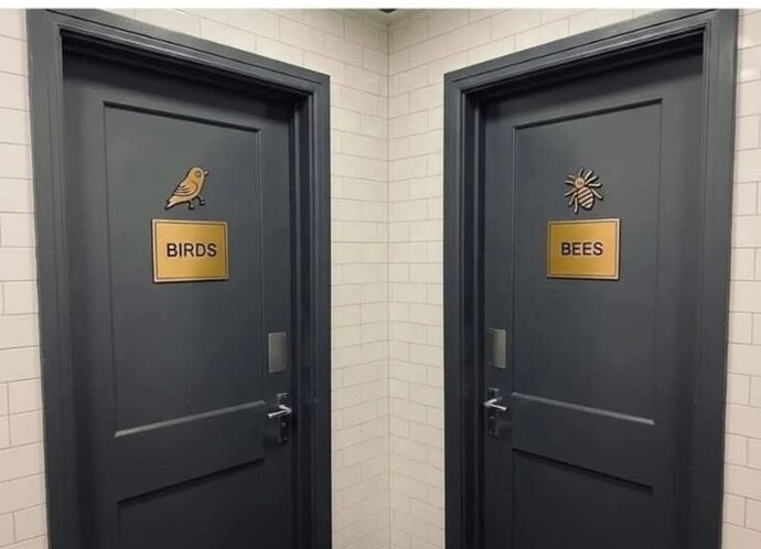 Birds or Bees, where to pee?