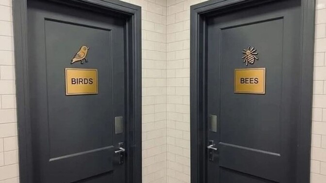 Birds or Bees, where to pee?