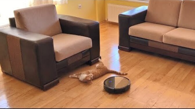 Does this video prove the robot apocalypse has begun?