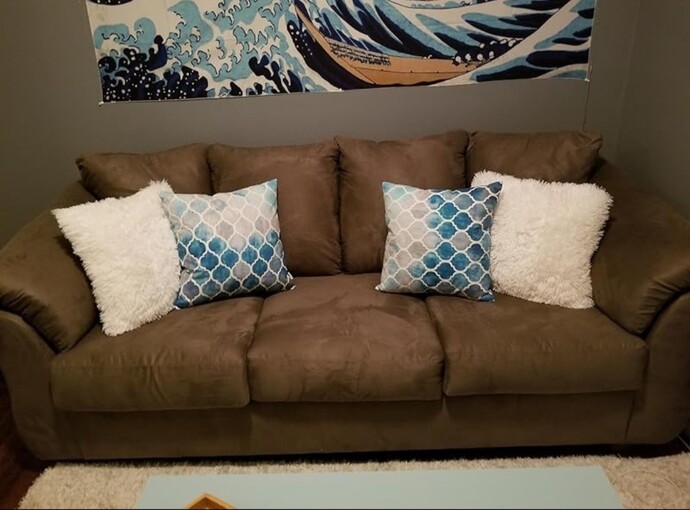 New apartment on a budget. Can you help me choose a sofa?