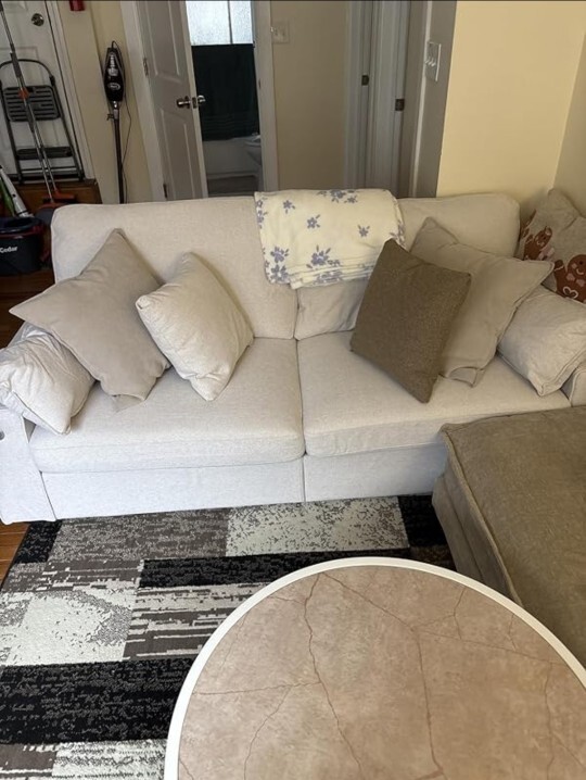 New apartment on a budget. Can you help me choose a sofa?