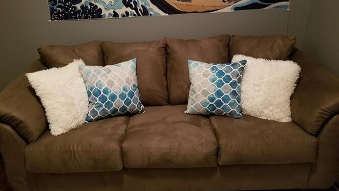 New apartment on a budget. Can you help me choose a sofa?