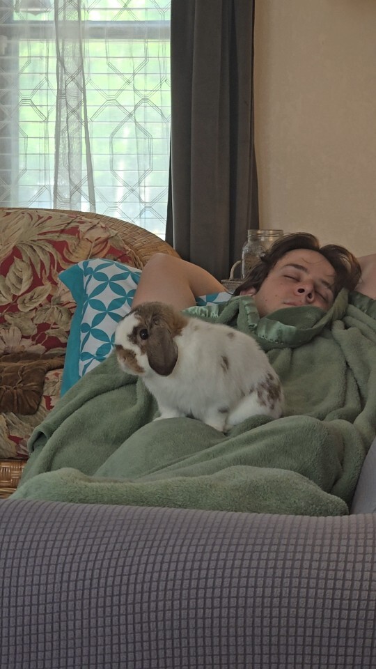 What kind of pet do you have and why did you choose them?