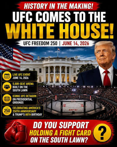 Why do some liberals call MMA toxic masculinity and sexist even for women?
