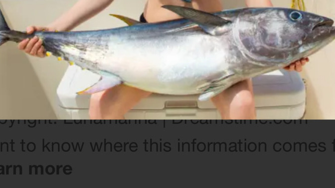 What is the biggest fish you have ever caught and how big was it?