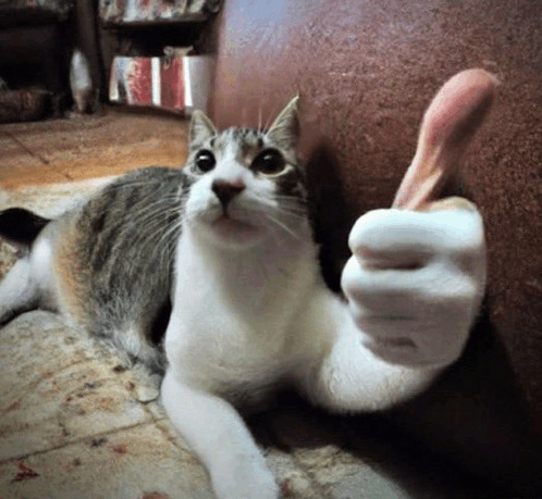 Are YOU any good at thumb wrestling?