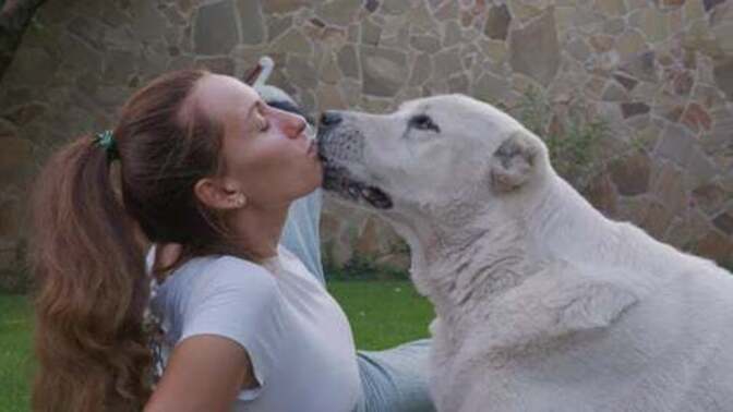 Why are white people (especially white women) so fond of dogs?