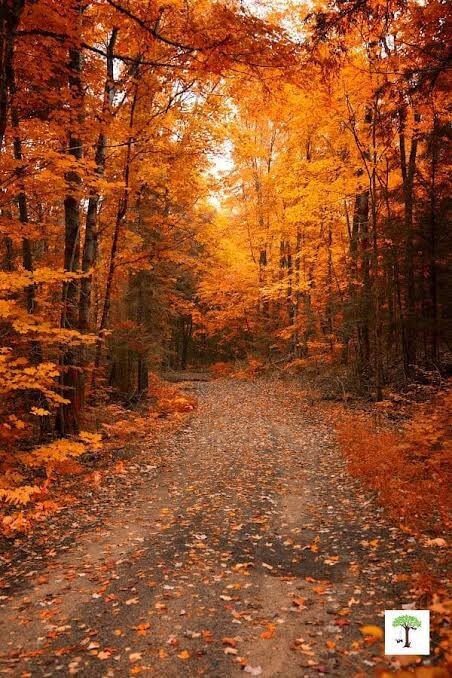 Who is ready for Fall?