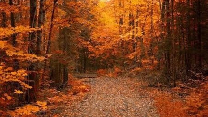 Who is ready for Fall?