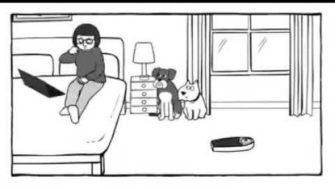 Who is smarter? You or your pets?