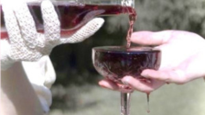 What are your favorite wines?
