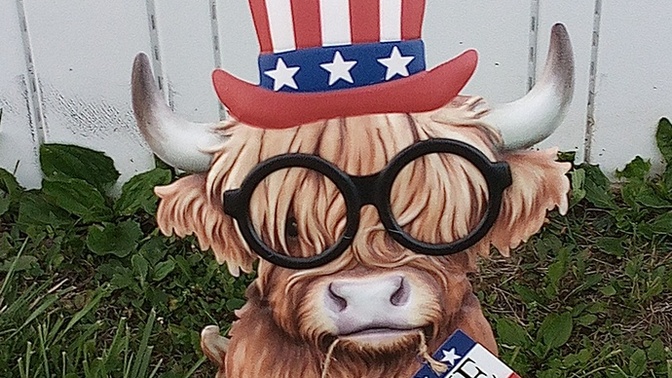 How do I tell my wife I hate her new yard decoration on a tight budget?