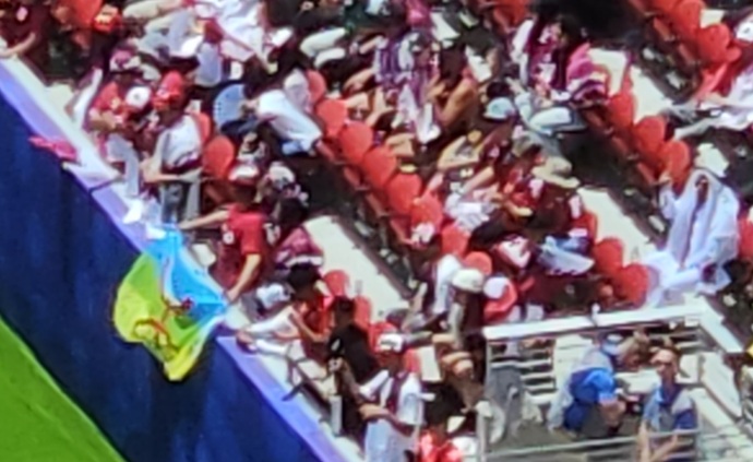 Why do some fans wear THEIR colors and bring THEIR flag to other countries matches? Does anyone else hate this and find it disrespectful?