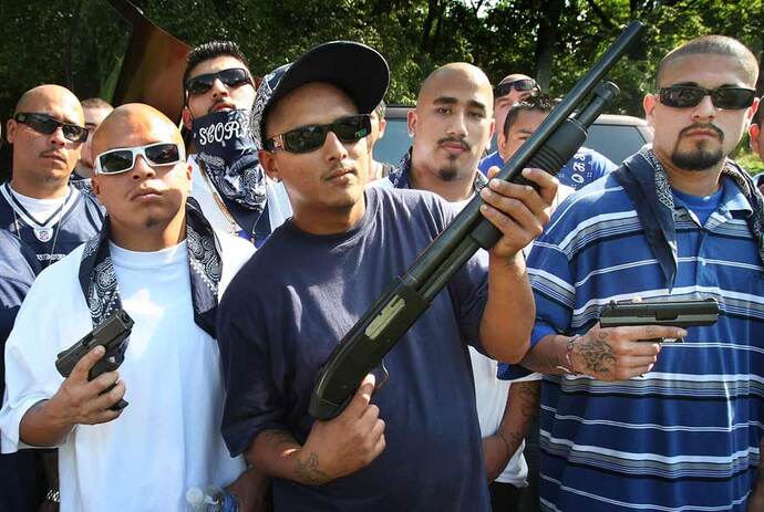 Do you have a gun in your home?