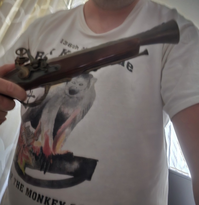 Do you have a gun in your home?