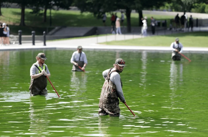 The $14 million dollar green Memorial Pool, replacing Obamas "swamp".