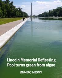 Hey you remember when Trump said he was gonna drain the swamp? Well what do you think of this?