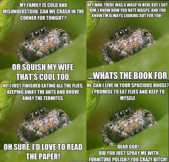 Did you know that there are an estimated 21 quadrillion (21,000,000,000,000,000) spiders alive in the world today?