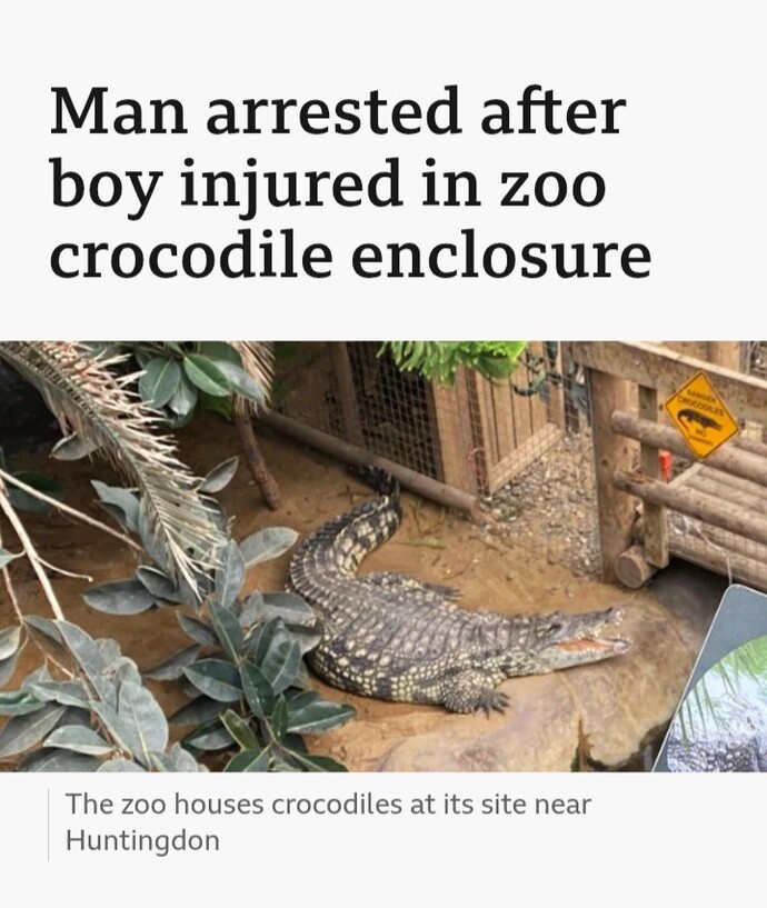 Child thrown to crocodile, whos to blame?