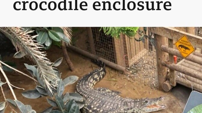 Child thrown to crocodile, who's to blame?